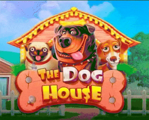 play The Dog House in dragobet casino